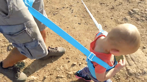 Learning Walking Baby Belt